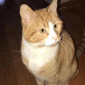 Meet your Posher, Bree